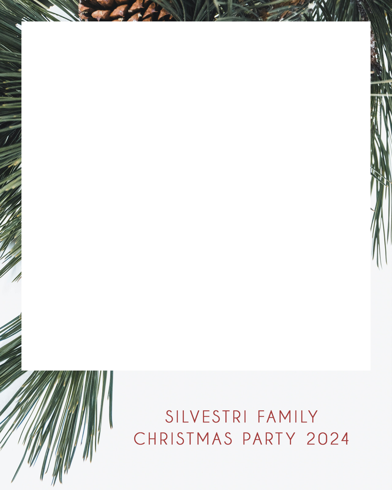 2024.12.14 silvestri frame